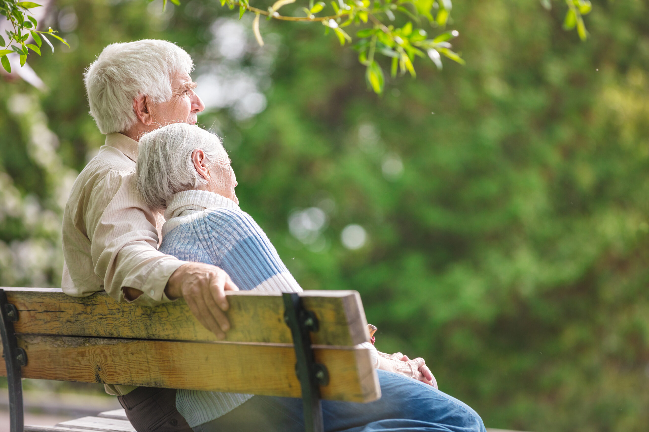 Elderly on a Park Bench